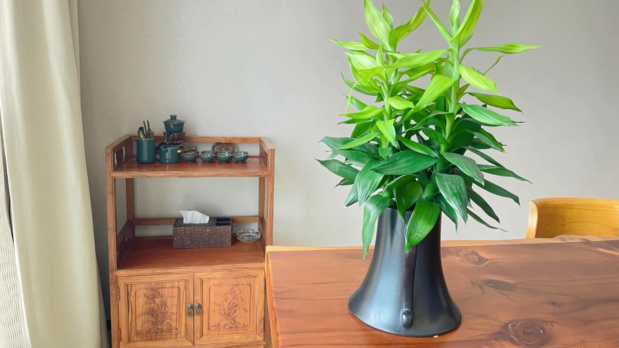 Guangzhou Xing Yi International Apartment - Poly World Branch Ngoại thất bức ảnh
